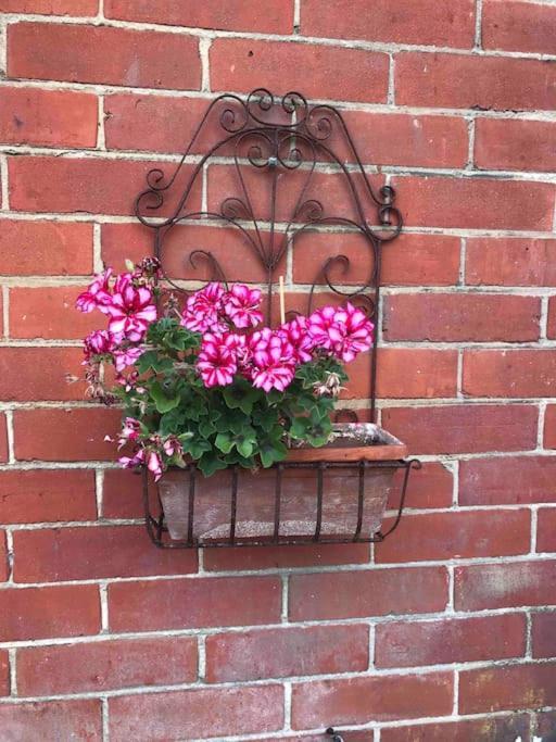 Brook Lodge Garden Flat Swanage Exterior foto